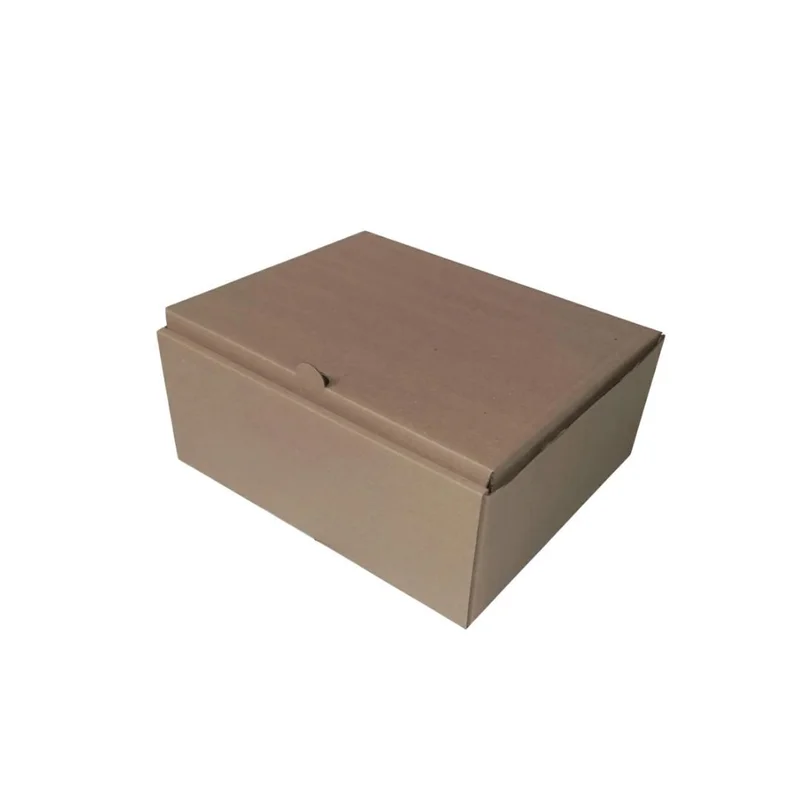 Caixa Sedex n°3 -  27x23x11cm