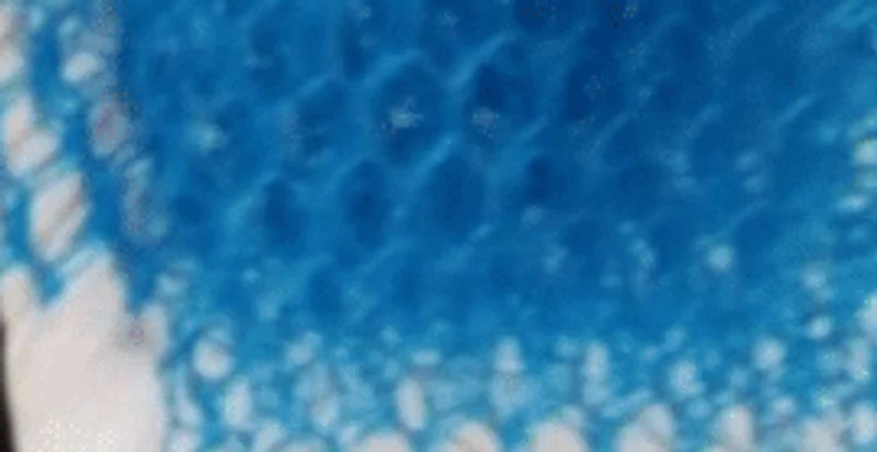 FILÓ DE ARMAÇÃO - AZUL TURQUESA