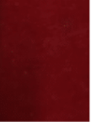 FELTRO - VERMELHO