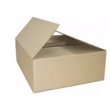 Caixa de Transporte Mini Med. 19x17x7,5cm